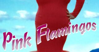 Pink flamingos : Affiche officielle