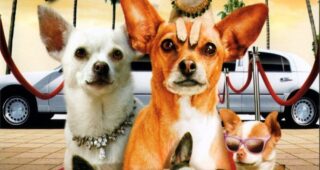Chihuahua de Beverly Hills 2 (Le) : Affiche officielle
