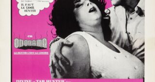 Polyester : Affiche officielle