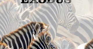 Exodus : Affiche officielle