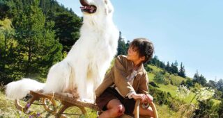 Belle et Sébastien : l'aventure continue : Affiche officielle