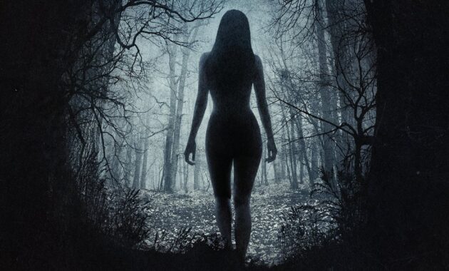 The Witch : Affiche officielle