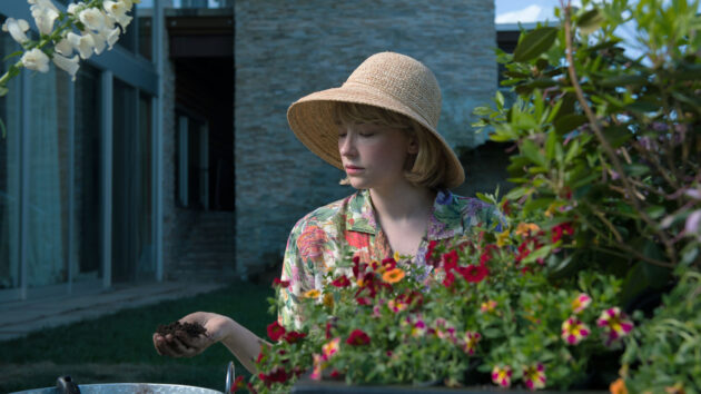 photo, Haley Bennett