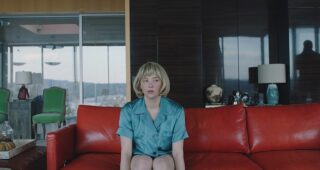 Swallow : photo, Haley Bennett