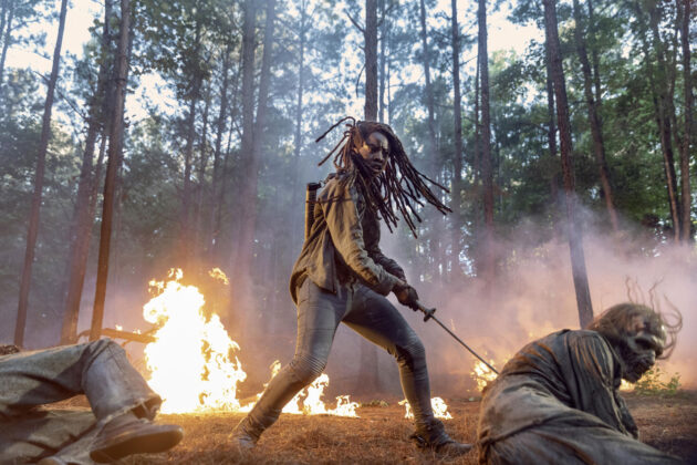 photo, Danai Gurira