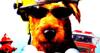 Rex, chien pompier	 : Affiche officielle