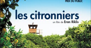 Citronniers (Les) : Affiche officielle