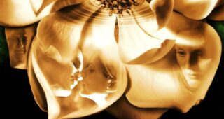 Magnolia : Affiche officielle
