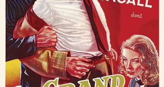 Grand sommeil (Le) : Affiche officielle