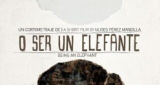 Elephant : Affiche officielle