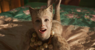 Cats : photo