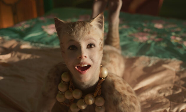 Cats : photo