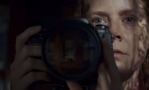 The Woman in the Window : Photo Amy Adams