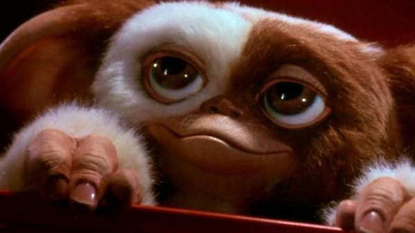 Gremlins : Photo