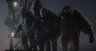 La Planète des singes : L'affrontement : photo