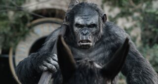 La Planète des singes : L'affrontement : photo