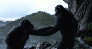 La Planète des singes : L'affrontement : photo