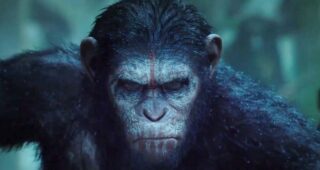 La Planète des singes : Les Origines : photo