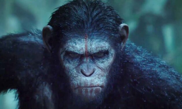 La Planète des singes : Les Origines : photo