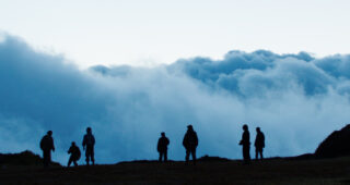 Monos : photo
