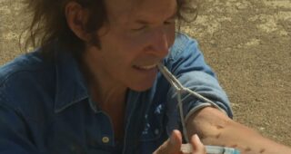 Neil Breen : Photo Neil Breen