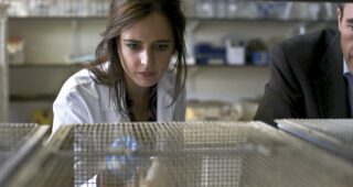 Perfect Sense : photo, Eva Green