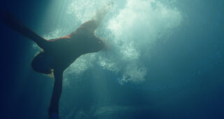 Sea Fever : photo