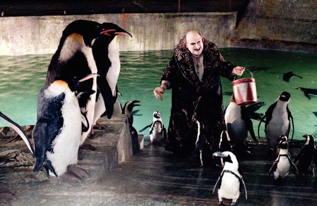 photo, Danny DeVito