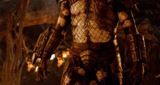Predators : photo