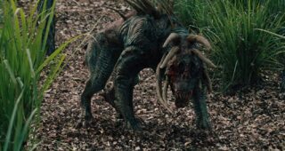 Predators : photo