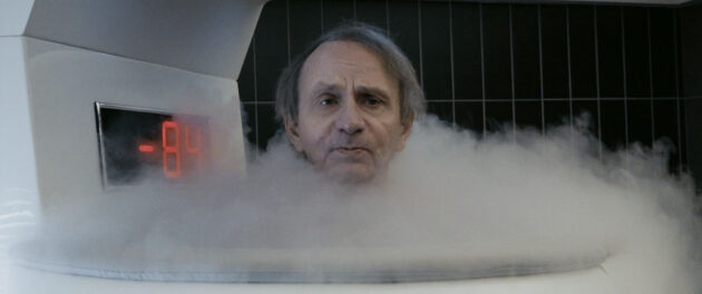 photo, Michel Houellebecq