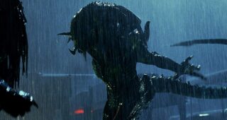 Aliens vs. Predator : Requiem : photo