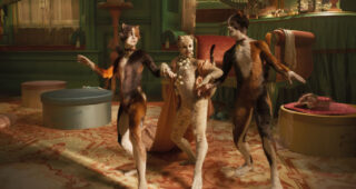Cats : photo