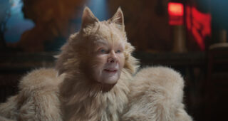 Cats : photo