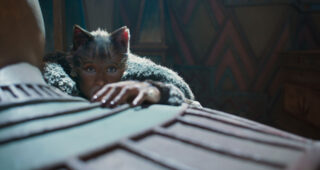 Cats : photo