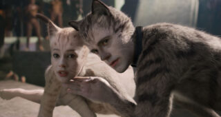 Cats : photo