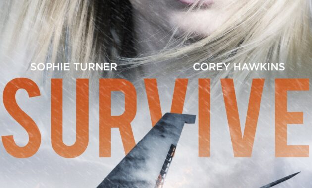 Saison 1 : Affiche officielle