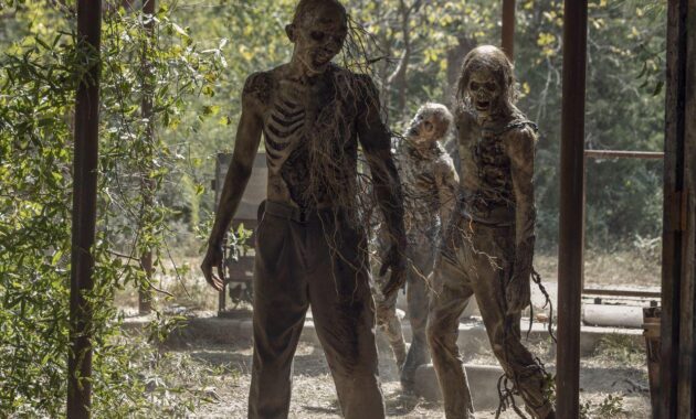 The Walking Dead : photo
