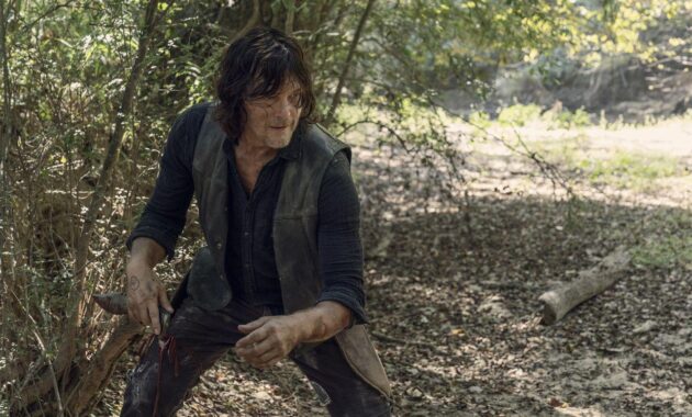 The Walking Dead : photo, Norman Reedus