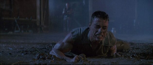 photo, Jean-Claude Van Damme