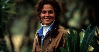 Gorilles dans la brume : photo, Sigourney Weaver