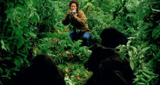 Gorilles dans la brume : photo, Sigourney Weaver