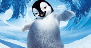 Happy feet : photo