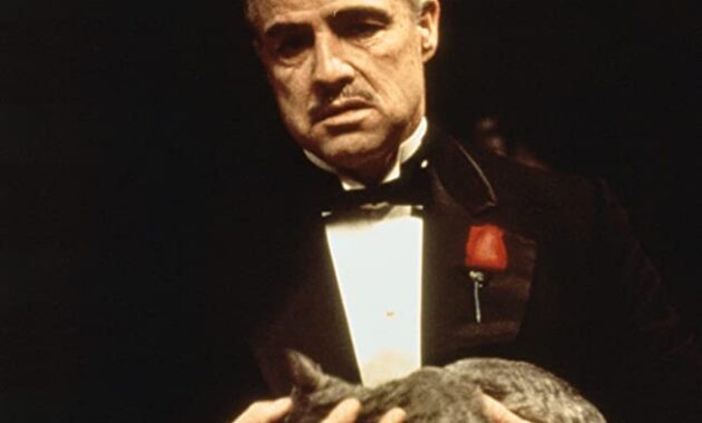Le Parrain : photo, Marlon Brando