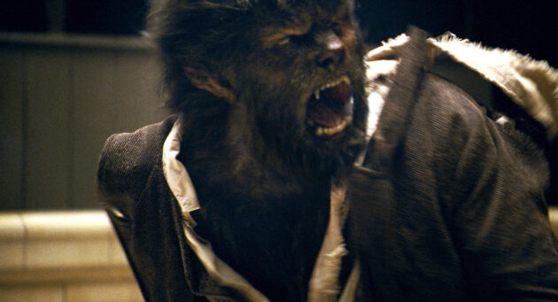 Wolfman : photo