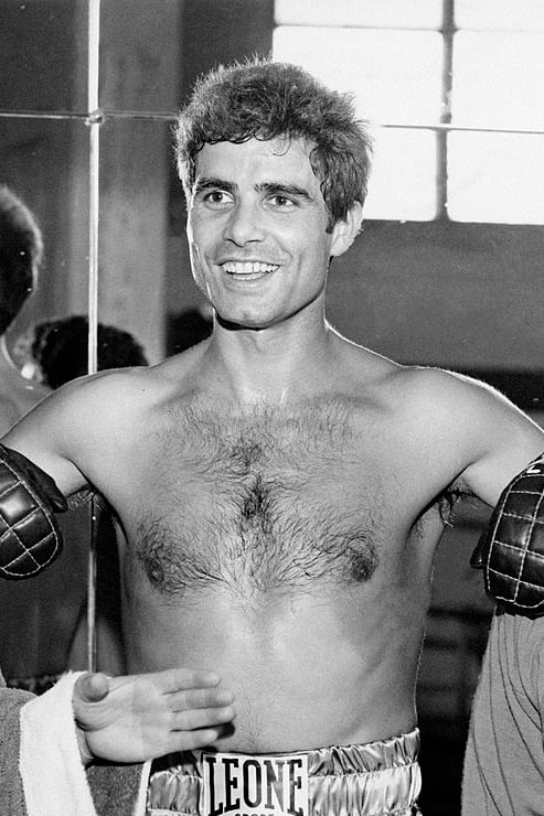 Nino Castelnuovo : Photo officielle