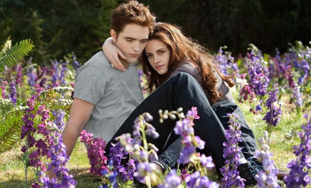Twilight - chapitre 5 : Révélation (2ème partie) : photo, Robert Pattinson, Kristen Stewart