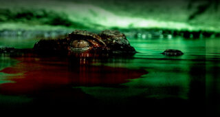Black Water : Abyss : photo