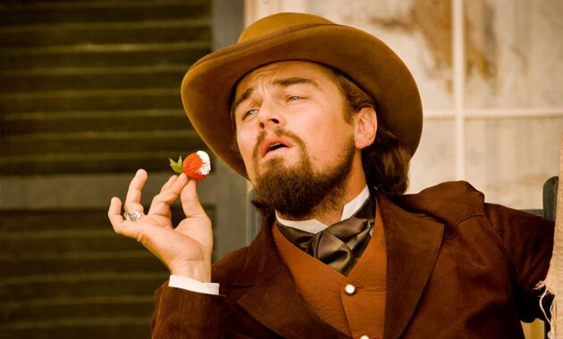 Django Unchained : photo