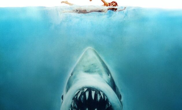 Les Dents de la mer : photo